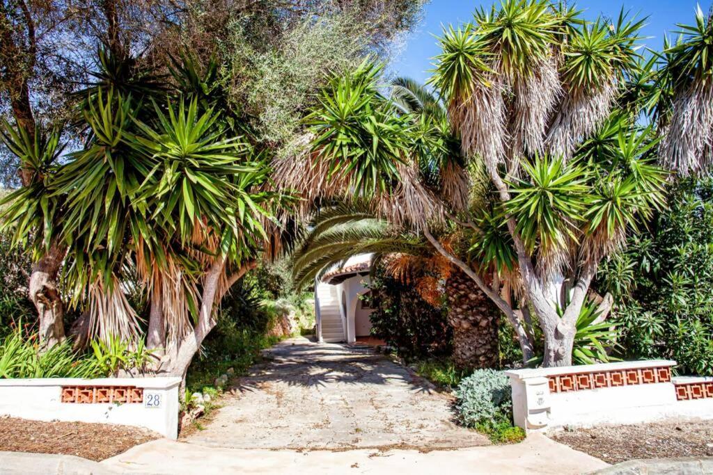 Villa Cecylia Es Canutells Exterior foto